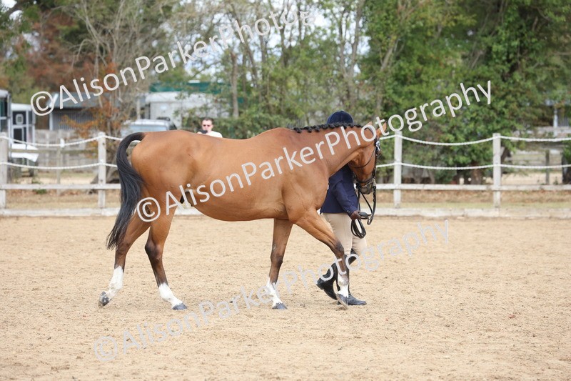20260831-1892 - Class 5 - Retraining of Racehorses