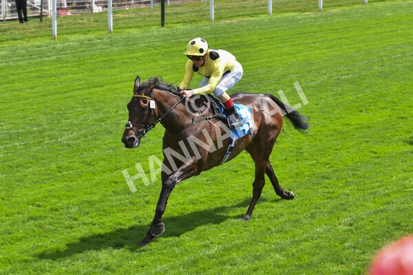yr09072022r2-19 - Race 2 2.20pm John Smith's Silver Cup