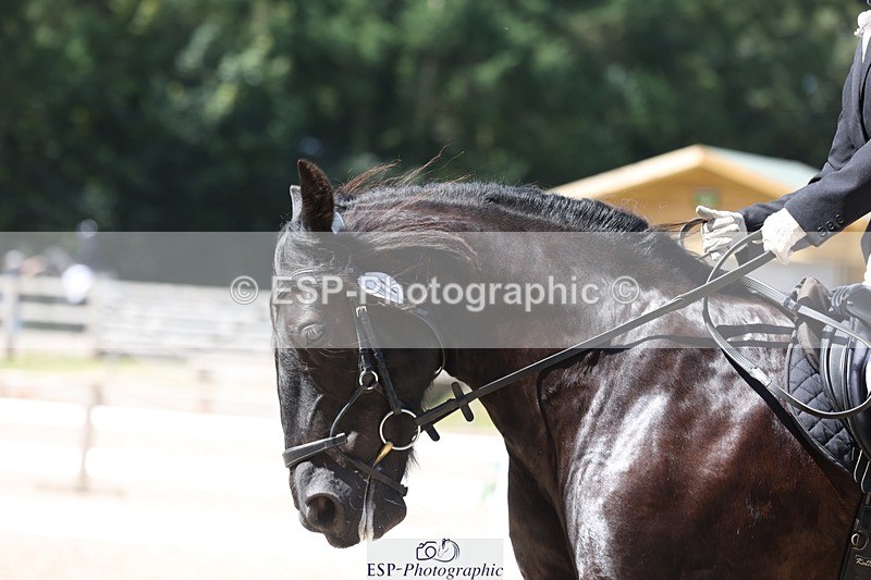 230811-120630-00993 - Cls 1 Prelim Bronze 11.10 to 12.35 break