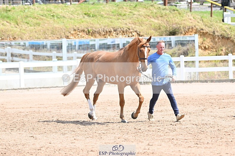 240717A-150647-02548 - Trot Up 3pm to 4pm
