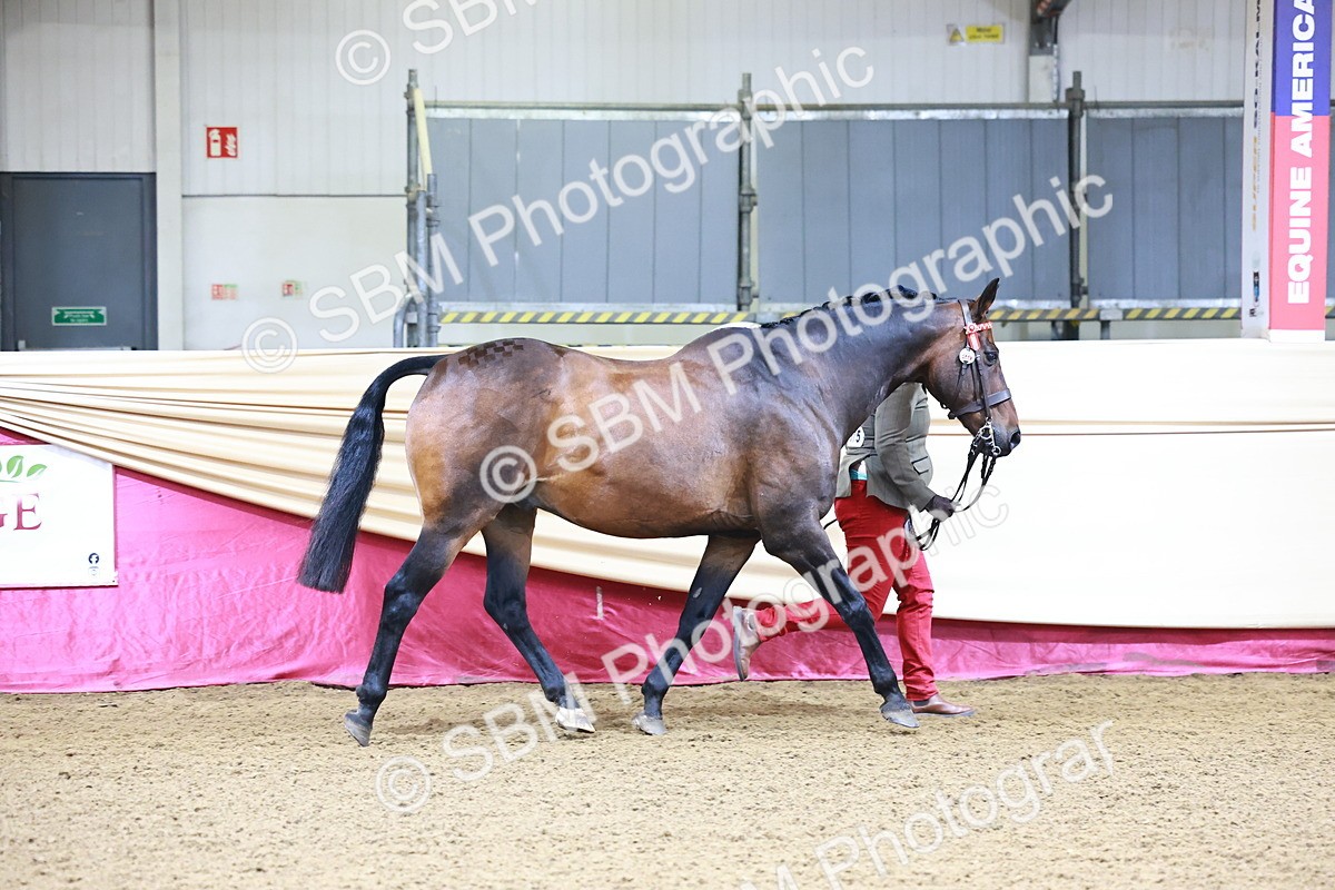 SBM_21644 - Class 901 - Supreme Final - IH  Diamond