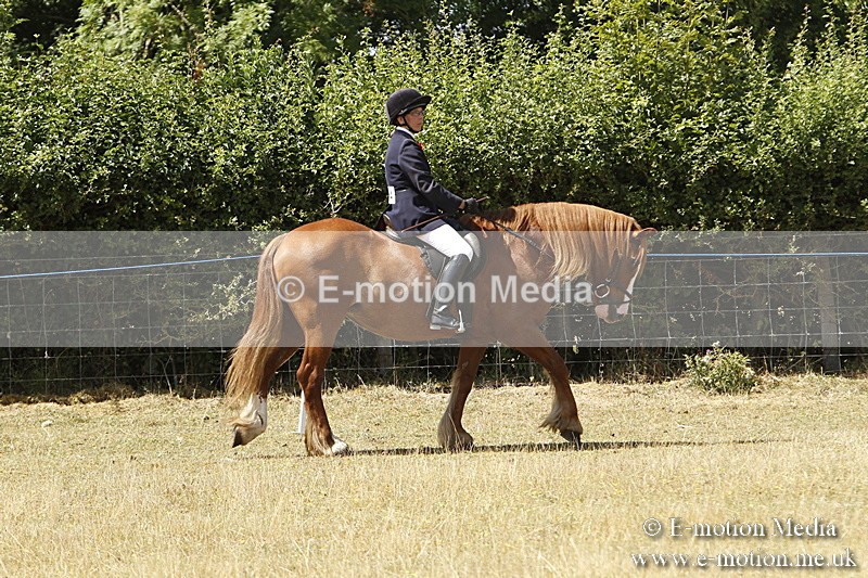 _BS_0711 - BVRC Show 2018 Ring 1