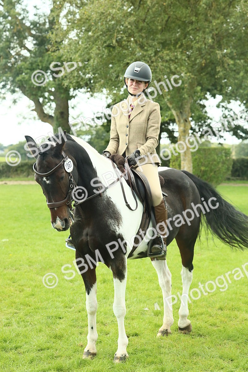 SBM_66451 - S34 - Rehabilitated Rescue Horse & Pony In Hand & Ridden