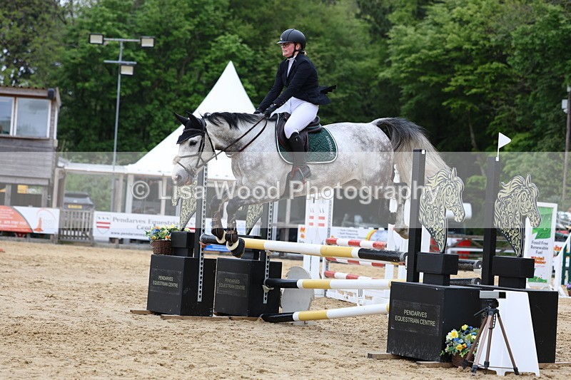 3E7A6416 - Class 4: Senior British Novice/90cm open