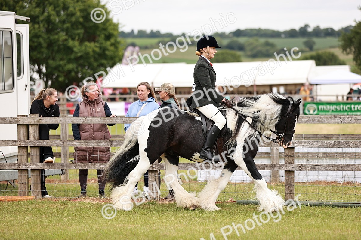SBM_06107 - Class 39-41 TGCA In Hand and Ridden