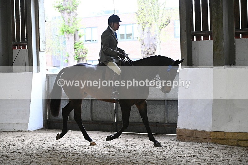 WJ7_3793 - Class 17 Ridden Cob