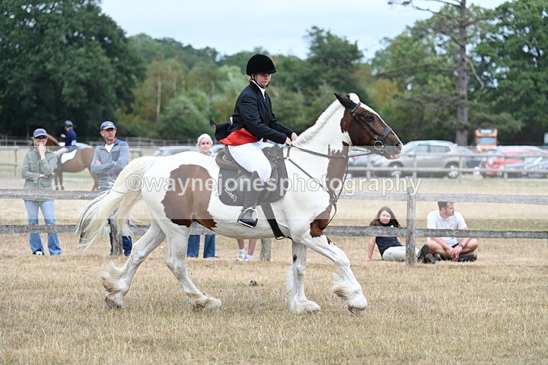 WJ7_1373 - Class 8 Ridden Veterans