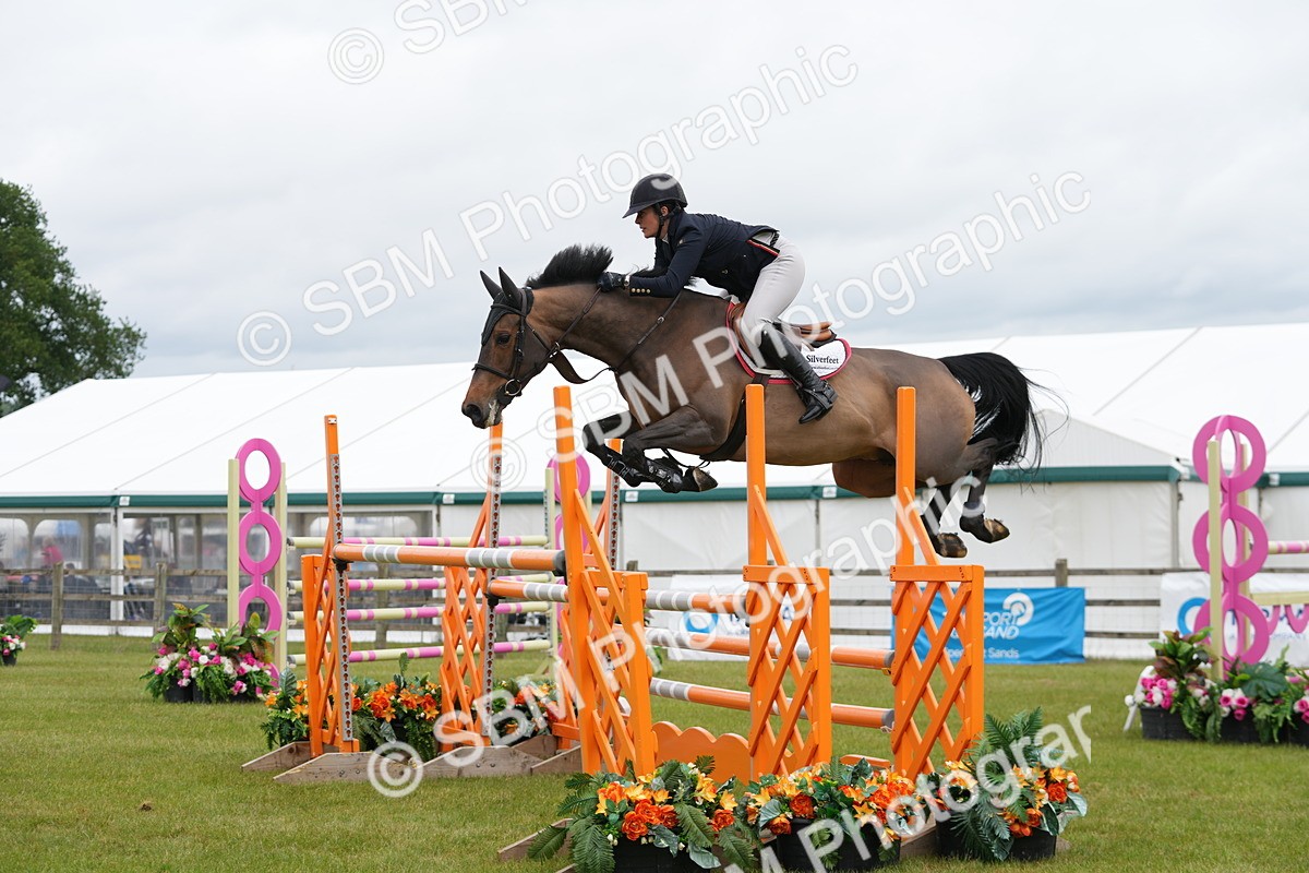 SBM_03080 - Class 201 - British Horse Feeds Speedi Beet Horse of the Year Show Grade  C