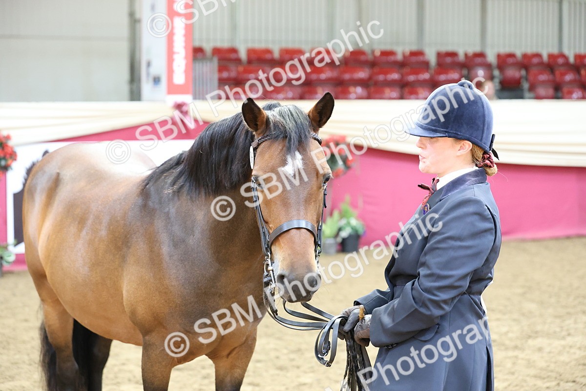 SBM_23399 - Class 903 - Supreme Final - IH Pre Vet