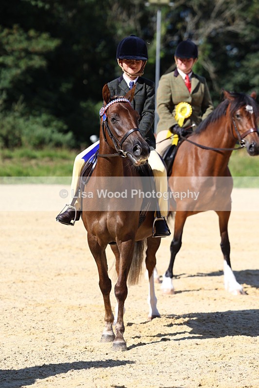 3E7A7959 - Class 14: Tack and Turnout