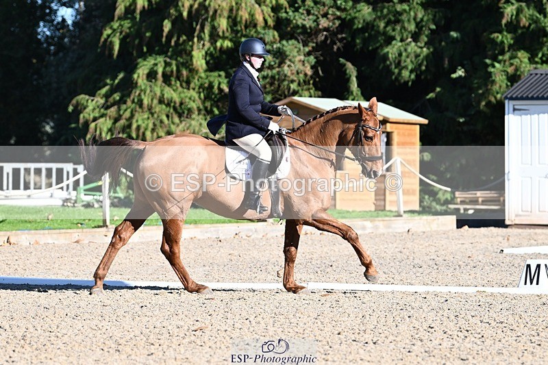 231110-131648-00902 - Cls 4 Novice 39Q