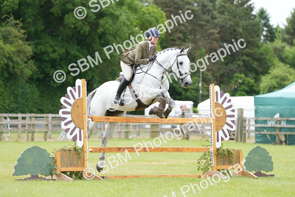 SBM_14992 - Class 100-102 - RIHS Working Hunter