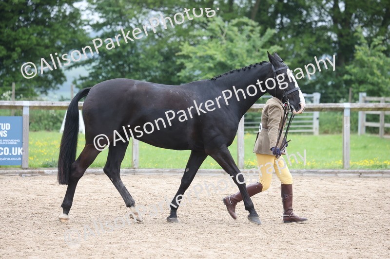 20260504-1374 - Class 8 - Cob and Hunter