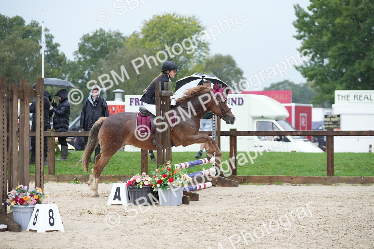 SBM_34104 - J5 - Junior Pony 50cm Championship