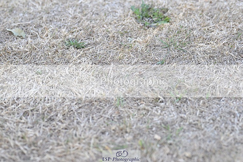 250823A-183712-34349 - All Sat Presentations