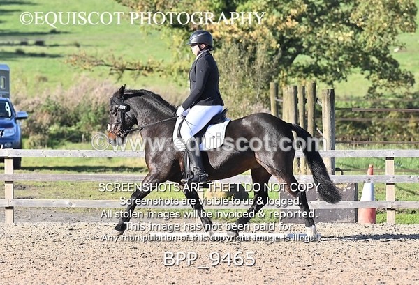 BPP_9465 - SHORT ARENA