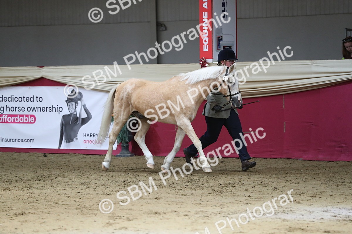 SBM_04381 - Class 7R Regional - IH Diamond