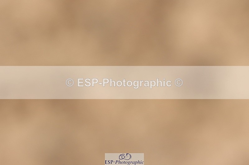 240622A-173316-15150 - Cls 21 Quest Novice 27