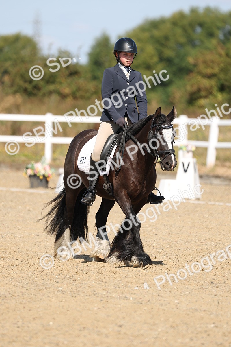 SBM_013545 - Class 1 - P5 Bronze 10.38.12.02