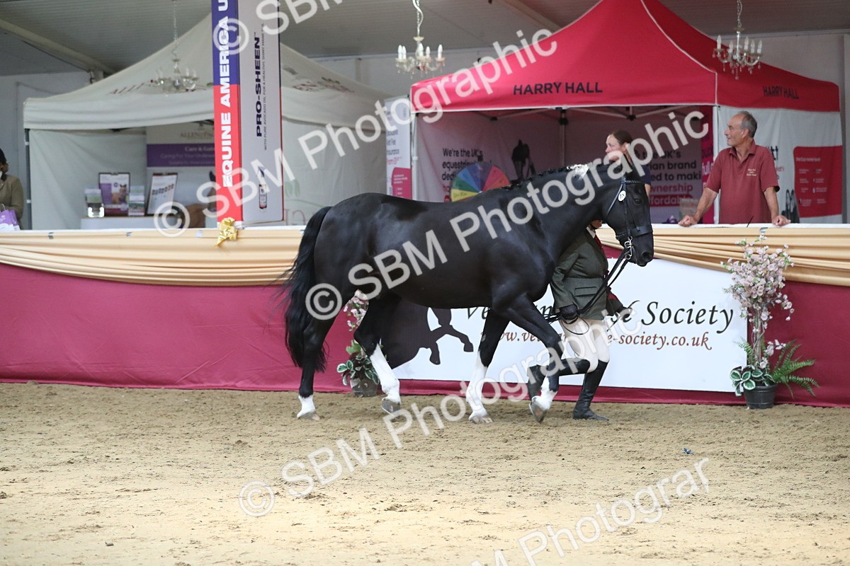 SBM_06622 - Regional IH Champ
