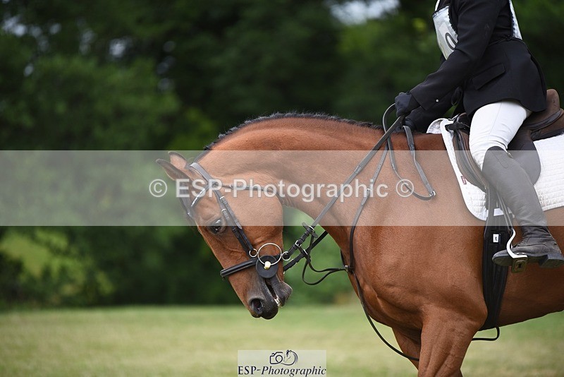 240630-152036-02532 - 720-Susan-Joy_Keeping-Jolly_Jean