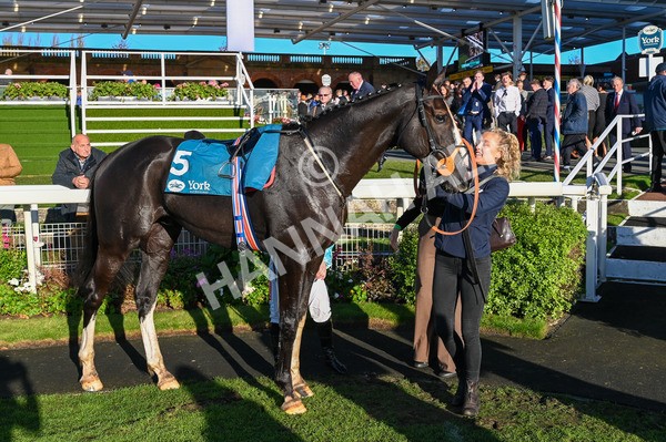 141023-Race 6-Punctuation-9300 - Race 6 4.10pm Coral Get Closer To The Action Handicap
