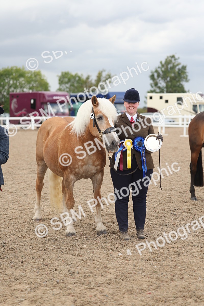 SBM_06913 - Class 25 - IH Foreign Breeds - Purebred