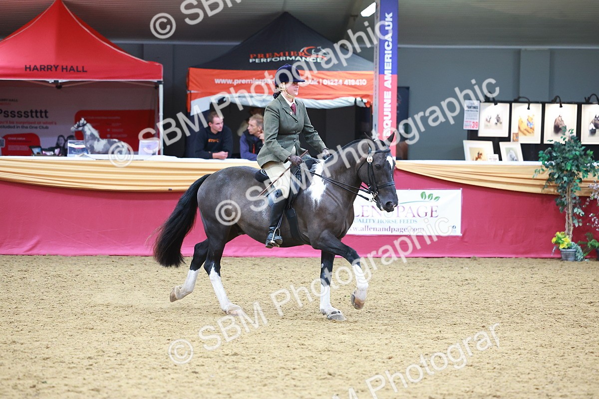 SBM_06153 - Class 12R - Ridden Pre-Vet