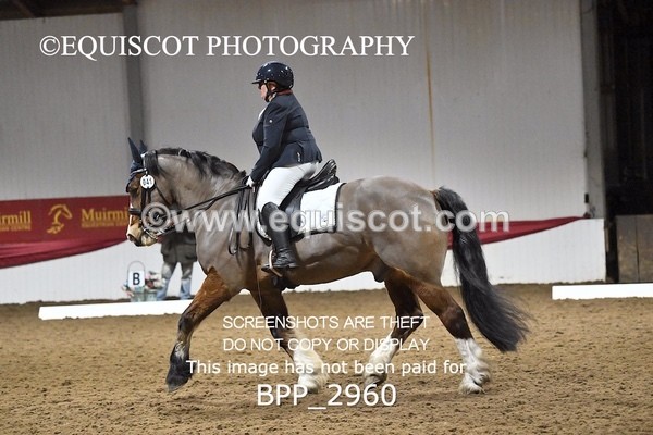 BPP_2960 - ELEM TEST 4