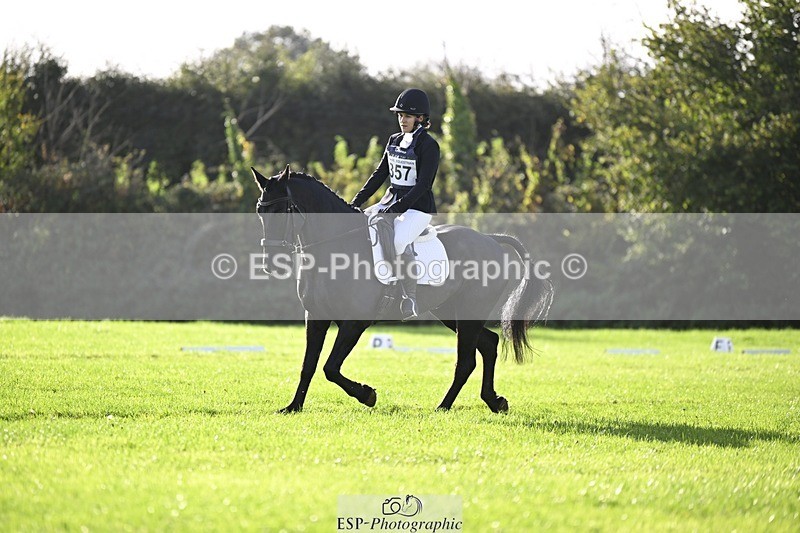 241025-101029-05703 - 357-Eleanor.Newcombe-MR.DARCY