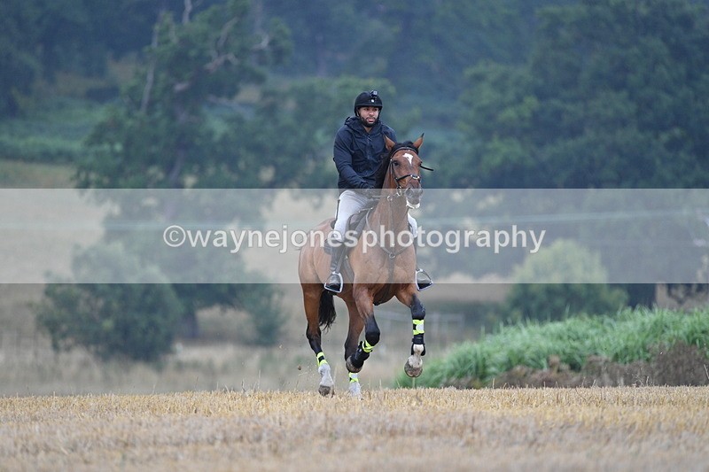 WJ5_2454 - Sofian Francis