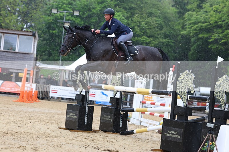 3E7A7356 - Class 8: Senior Foxhunter/1.20 open