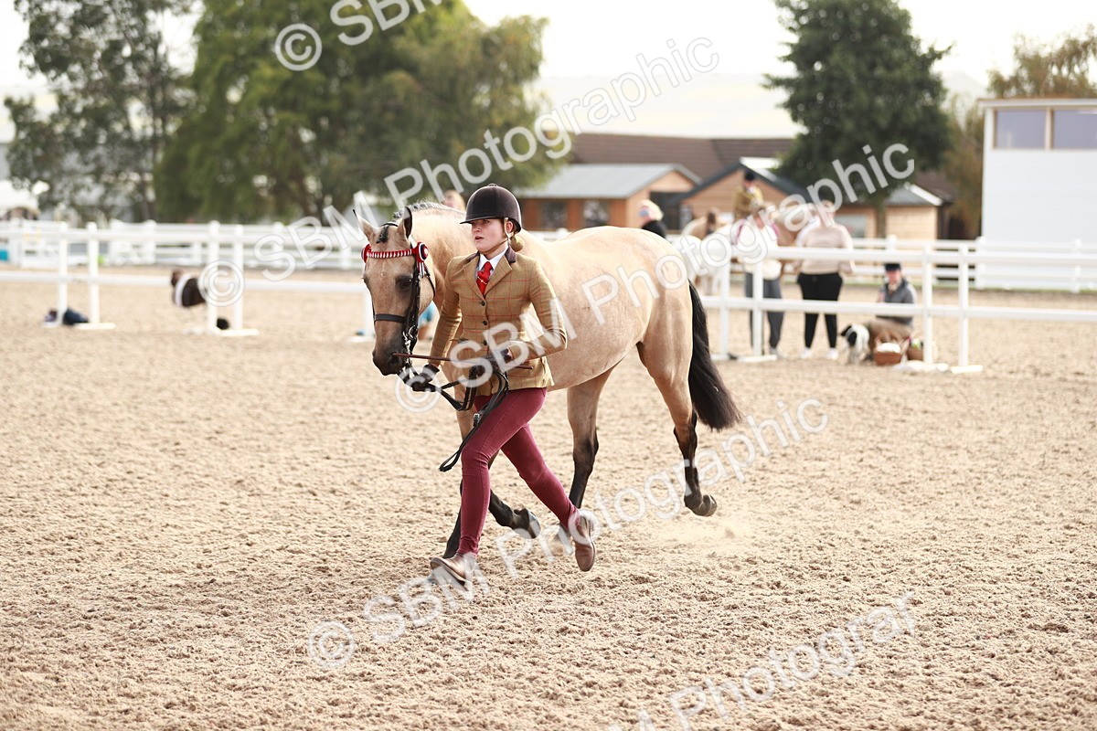 SBM_10537 - Class 204 Young Handler, 11-16 years