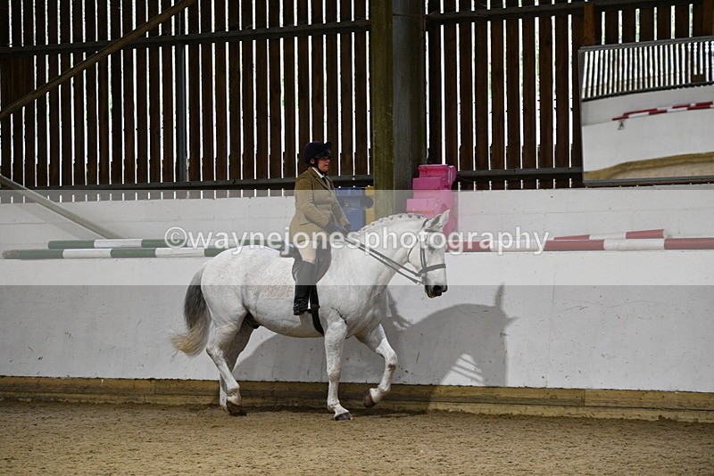 WJ5_8768 - Class 15 Ridden Show Horse
