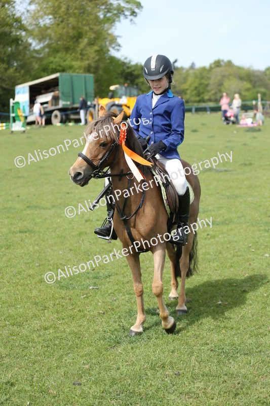 20260426-1812 - Class 14 - Novice 60cm