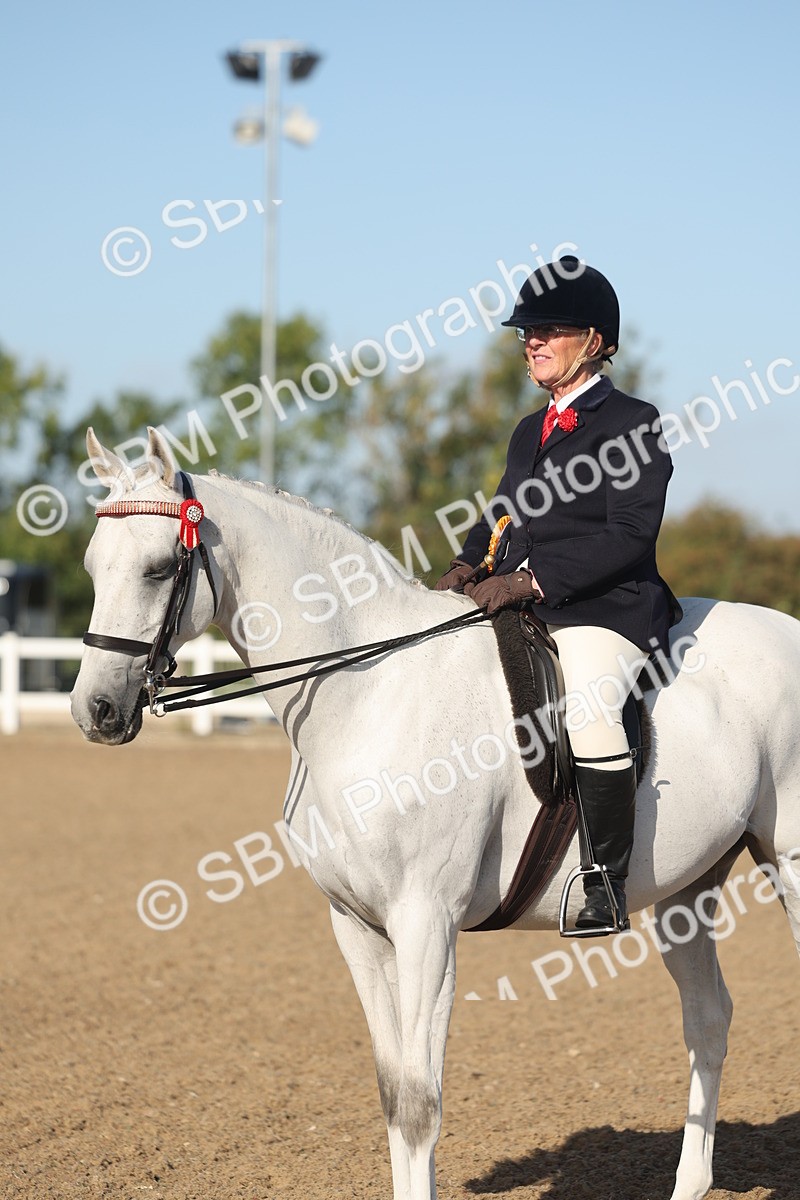 SBM_22147 - Class 801 - Ridden Veterans