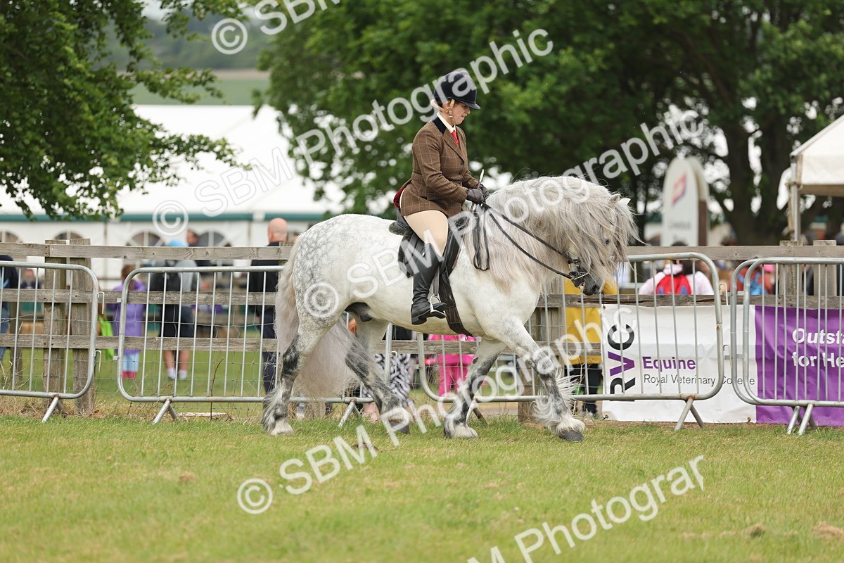 SBM_08929 - Class 78-80 - Ridden M&M Non Welsh Ponies