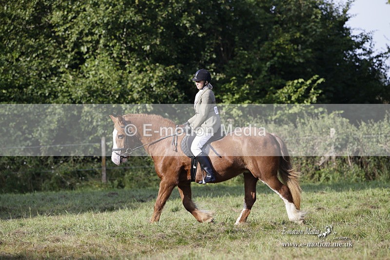 BVRC 120921 41 - Bourne Valley Riding Club UA Dressage & Show Jumping 12/09/21