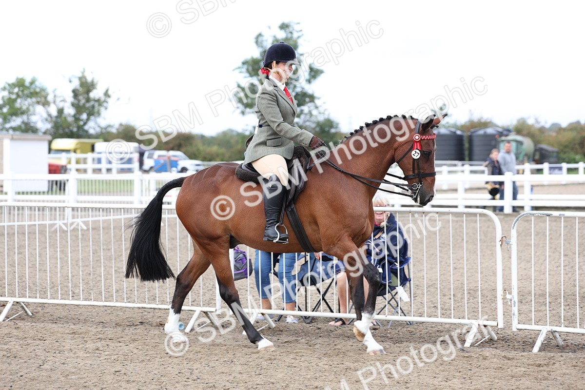 SBM_01481 - Class 52 - Ridden Veteran
