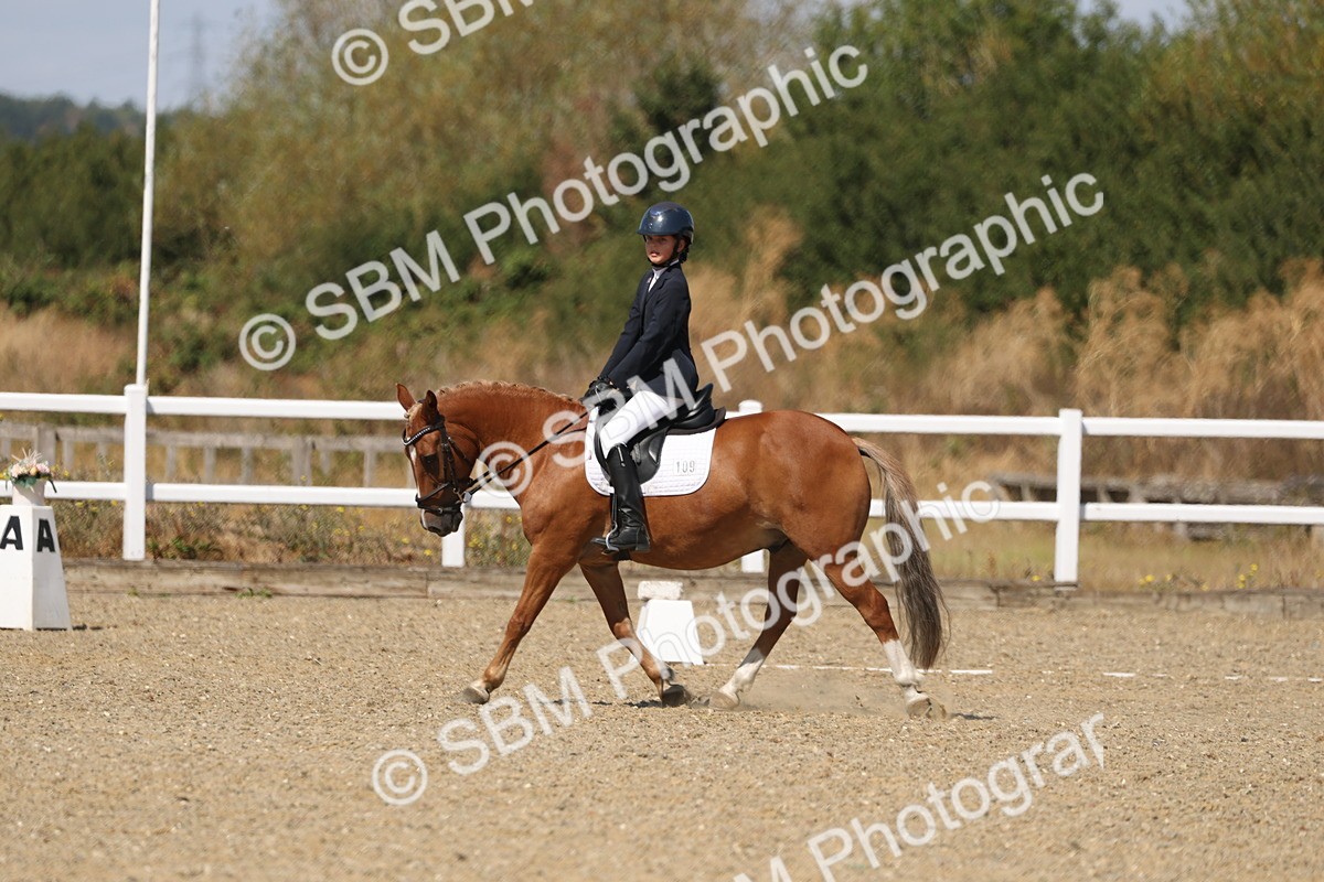 SBM_013735 - Class 1 - P5 Bronze 10.38.12.02