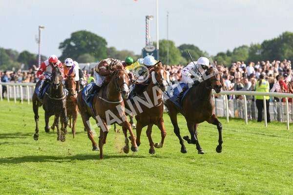 yr21052022r7-22 - Race 7: 5:15pm Reg Bond Always and Forever Stakes
