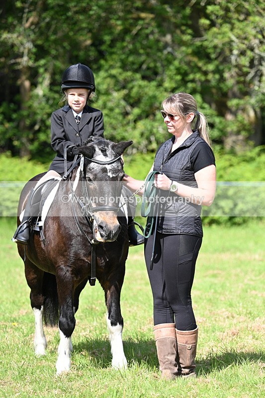 WJ7_0809 - Class 8 First Rally Pony
