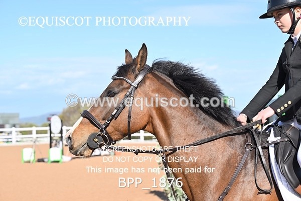 BPP_1876 - CLASS 2 - FRI - KBIS Club Senior 80cms
