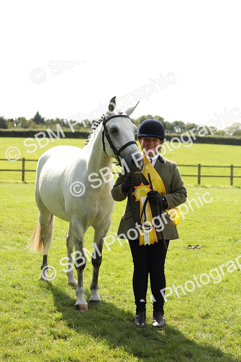 SBM_65621 - S48 - Show Pony & Show Hunter Pony In Hand