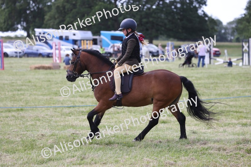 20260614-1832 - Class 21 - Novice Working Hunter Pony