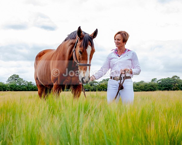 field - Equine Gallery Portfolio