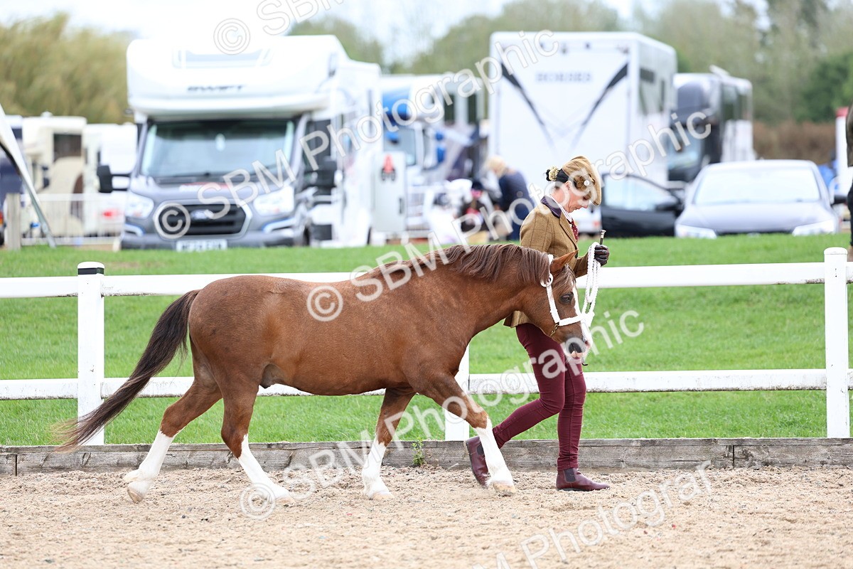 SBM_05813 - Class 29 - IH Veteran Pony