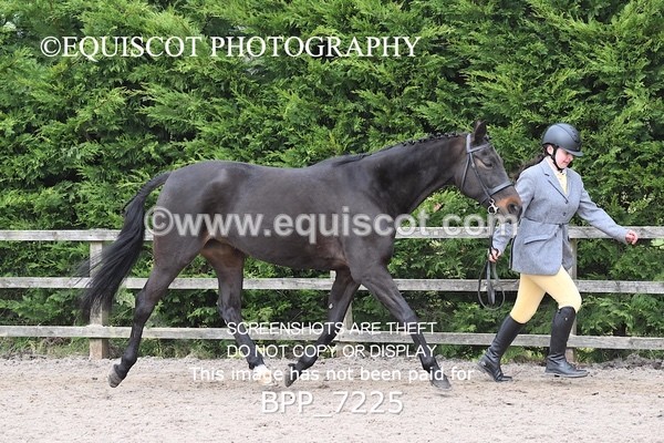 BPP_7225 - RING 1  (RIDDEN HORSES / IN HAND / VETERAN ETC)