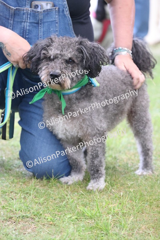 20250607-0319 - Class 8 - Best groomed