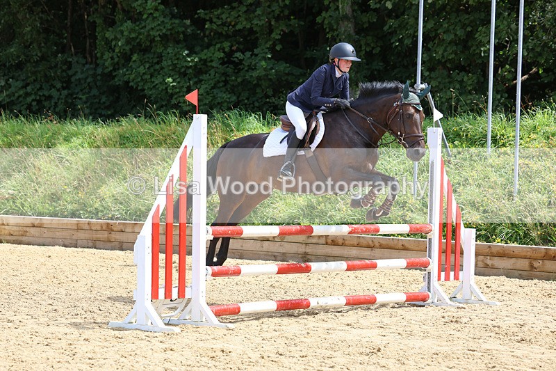 3E7A0309 - Class 9: Senior British Novice/90cm open